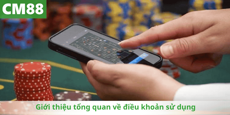 Giới thiệu tổng quan về điều khoản sử dụng